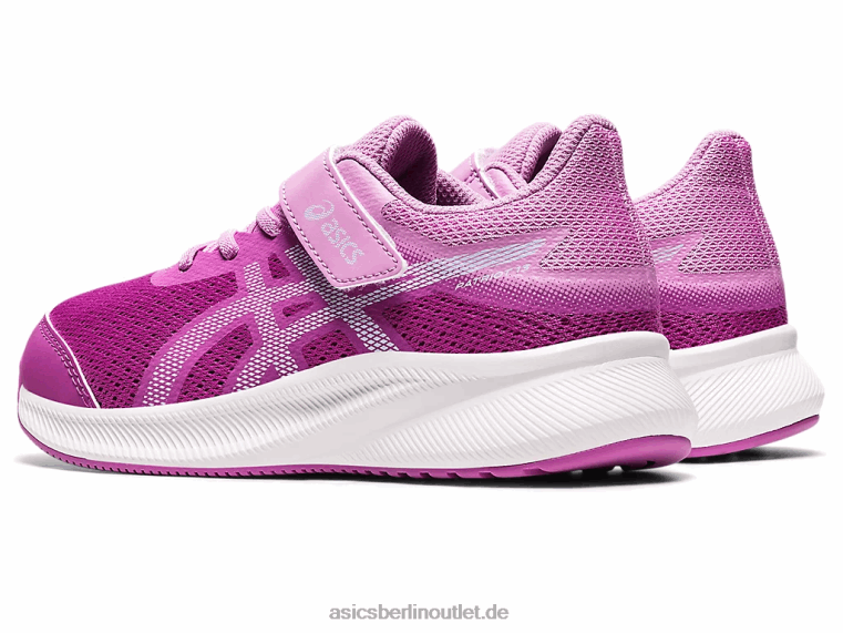Patriot 13 Vorschule BL4N4438Asics Orchidee/weicher Himmel