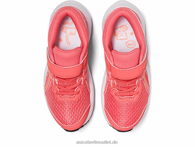 konkurrieren 8 Vorschule BL4N4259Asics Papaya/Sommerdüne