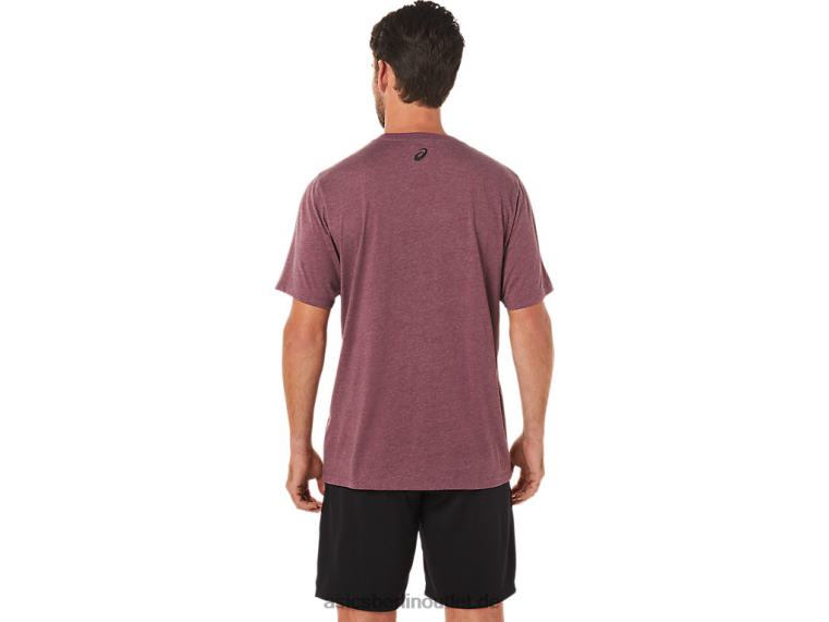 Gestreiftes Kurzarm-T-Shirt BL4N1643Asics tiefes Marsheidekraut