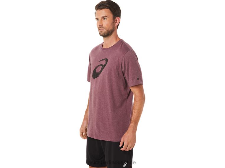 Pinsel-Kurzarm-T-Shirt BL4N2078Asics tiefes Marsheidekraut