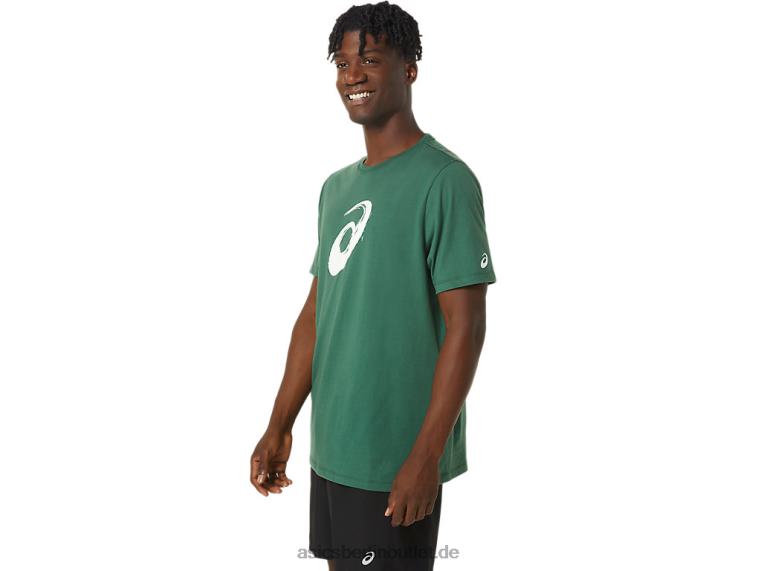 Pinsel-Kurzarm-T-Shirt BL4N879Asics jägergrün