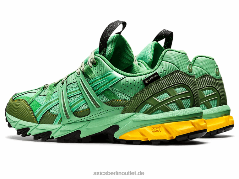 HS4-S Gel-Sonoma 15-50 GTX BL4N1248Asics Frühlingsstrauß/blauer Graphit