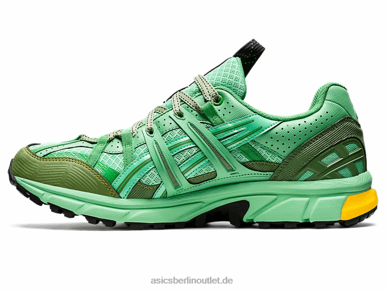 HS4-S Gel-Sonoma 15-50 GTX BL4N1248Asics Frühlingsstrauß/blauer Graphit