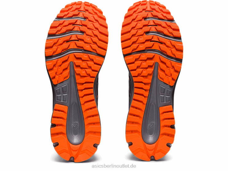 Trail Scout 2 BL4N1589 AsicsIndigonebel/reines Silber